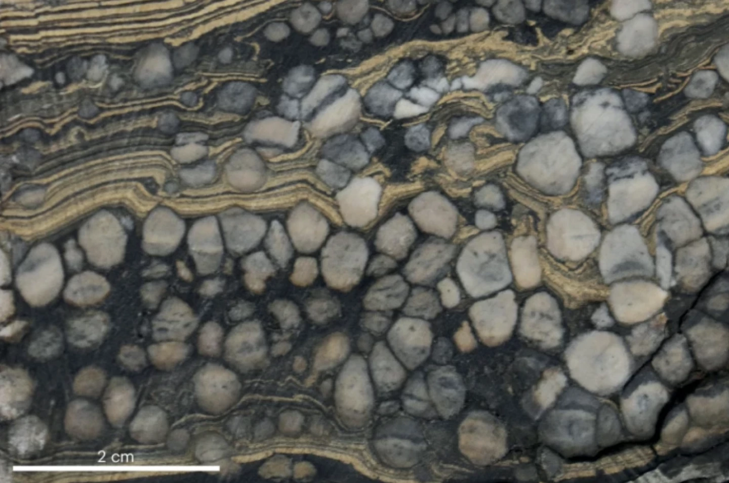 Озерный сланец, содержащий белый узелковый жадарит с прослоями слоистого доломита.