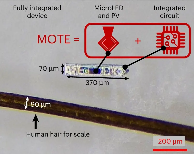 Изображение, полученное с помощью оптического микроскопа, сравнивающее MOTE с прядью человеческих волос.