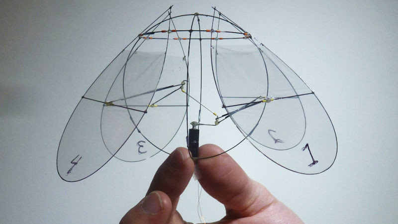 16. AeroJelly (2014)