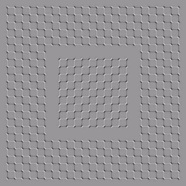 2. Поскролльте эту картинку вверх-вниз, и квадраты «задвигаются» 