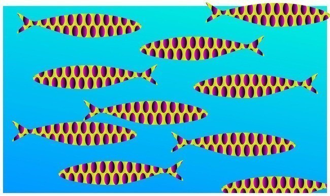 5. Рыбки сохраняют полное спокойствие, но кажется, что плывут