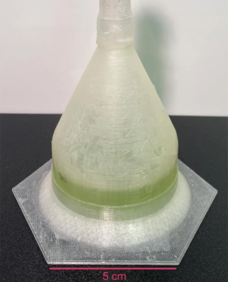 Крупный план биопластиковой среды обитания с водорослями.