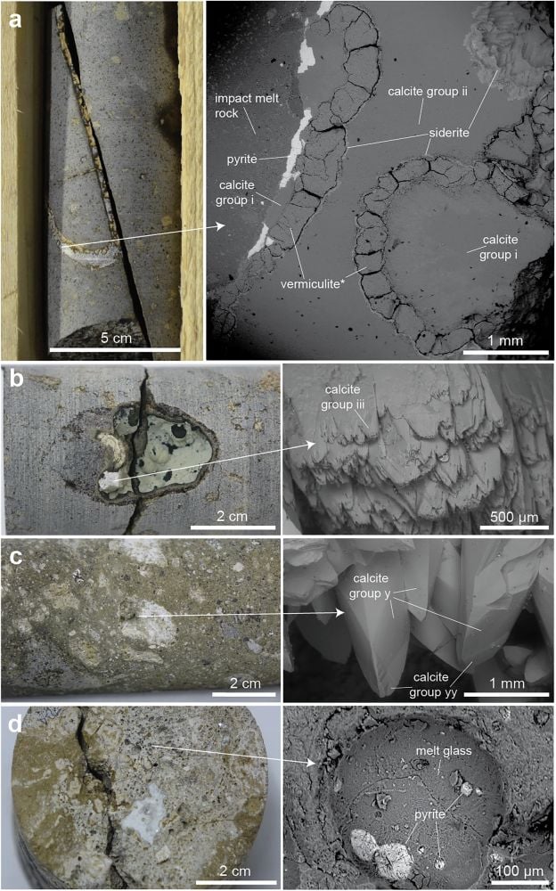 Биосигнатуры, обнаруженные исследователями. Пирит представляет особый интерес. Он образовался примерно через пять миллионов лет после удара, когда гидротермальная система остыла до температур, благоприятных для жизни.