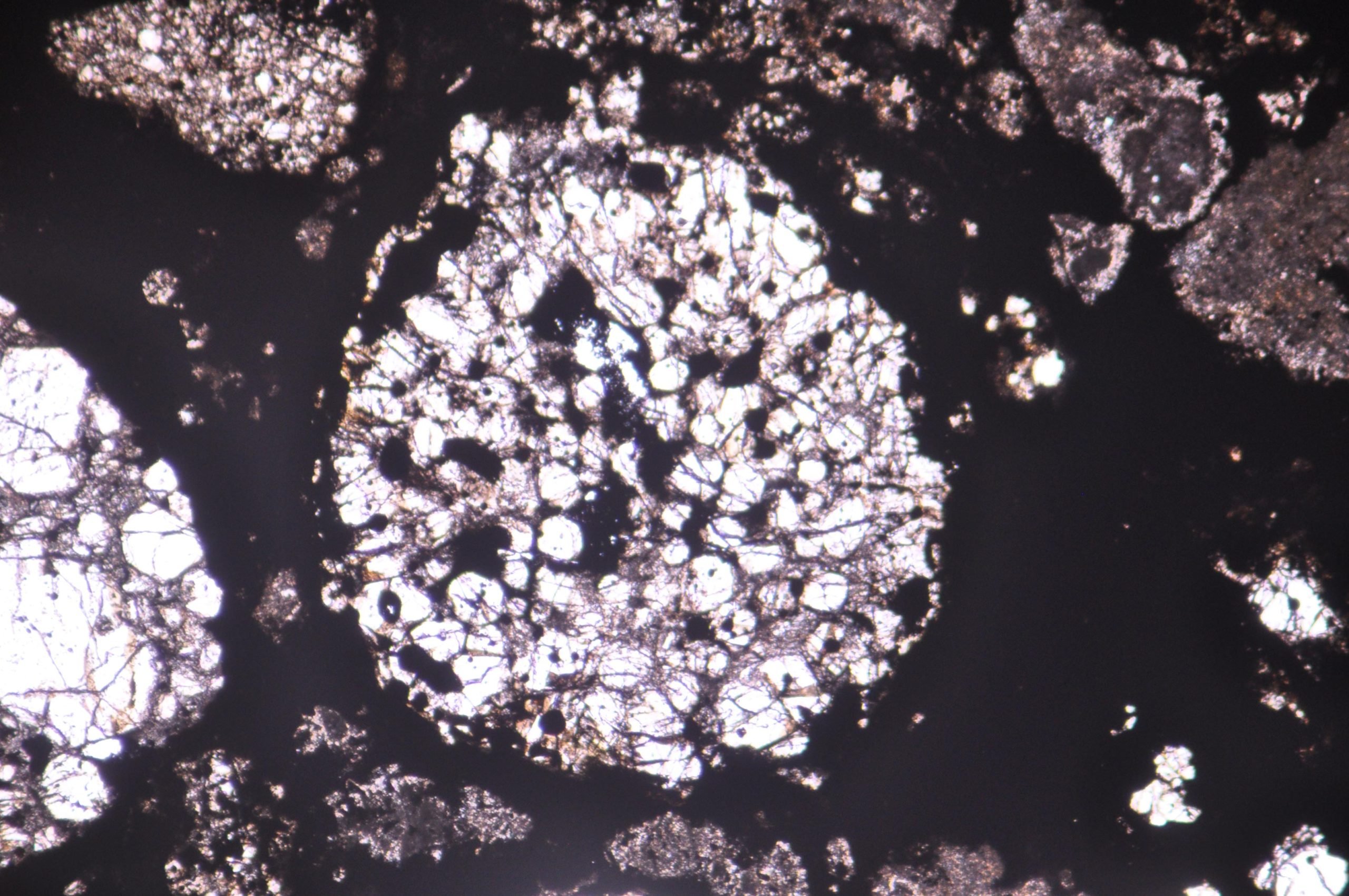 Круглые хондры, видимые в тонком срезе метеорита Альенде под микроскопом.