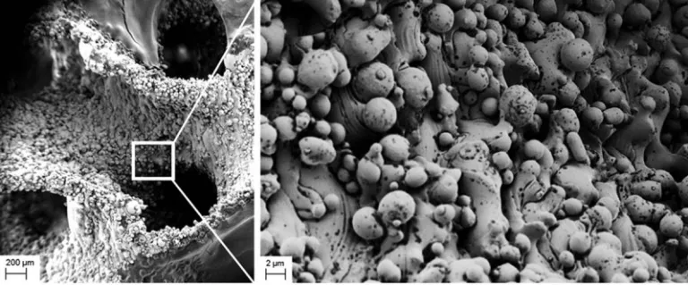 Новый метод 3D-печати позволяет исследователям точно настроить аноды из нержавеющей стали для повышения выработки энергии бактериями.