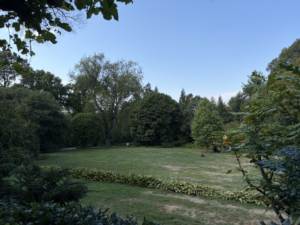 Основной объектив