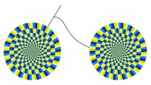 10 мощных оптических иллюзий