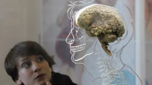 3 факта о мозге, которые являются мифами