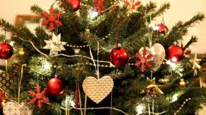 5 лайфхаков, которые сохранят елку свежей