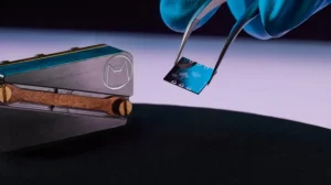 Кошачьи кубиты стали умнее сократив ошибки в 160 раз