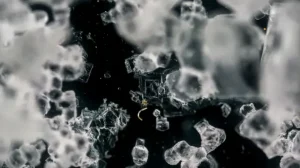 Ученые создали кристалл, который умеет дышать кислородом