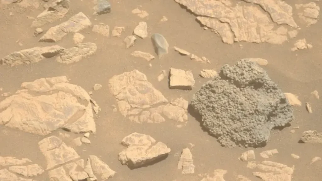 Странный камень найденный Марсоход Perseverance поставил учёных в тупик