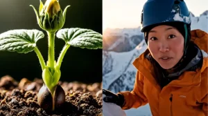 Google Veo 3 научился создавать вертикальные видео для TikTok и YouTube Shorts