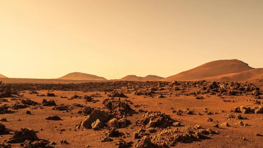 Обычные пекарские дрожжи смогут выжить в марсианских условиях