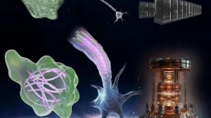 Клетки-суперкомпьютеры: природа освоила квантовые вычисления миллиарды лет назад