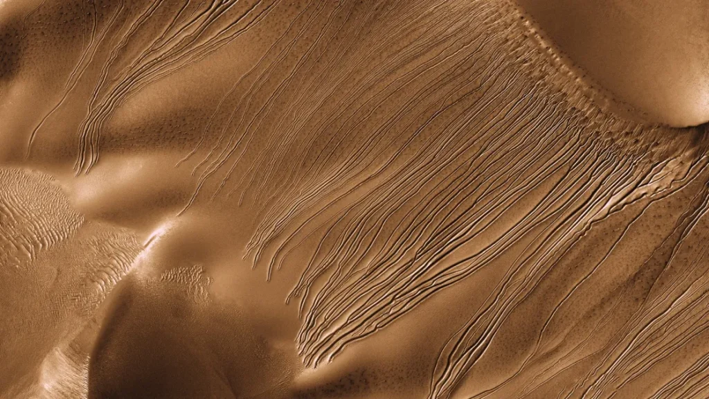 Ученые разгадали тайну марсианских оврагов с помощью песчаных червей из углекислого газа