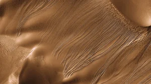 Ученые разгадали тайну марсианских оврагов с помощью песчаных червей из углекислого газа