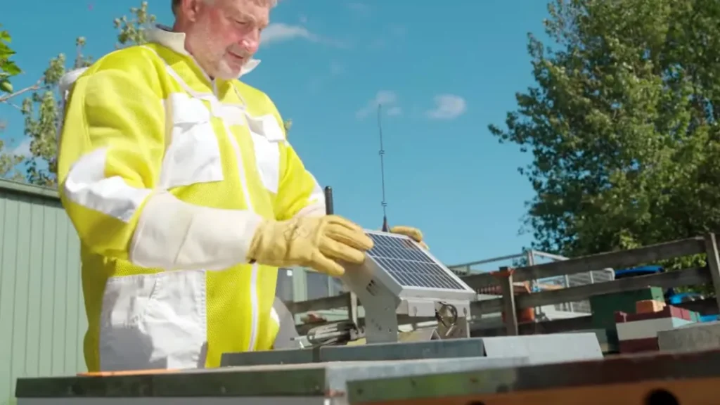 Пчелы в интернете: Новая Зеландия подключила ульи к спутникам