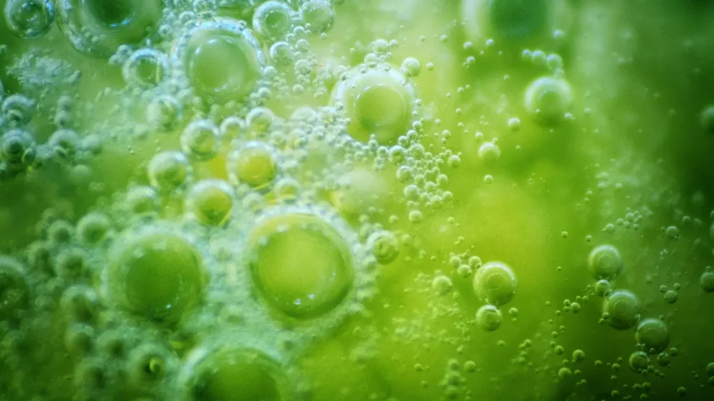 Жизнь без солнца: китайские учёные открыли новый источник энергии для подземных организмов