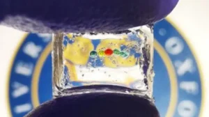 В Оксфорде создана самая маленькая в мире литиевая биобатарея