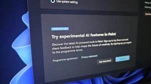 Paint для Windows 11 получил генерацию анимаций и ИИ-редактирование изображений