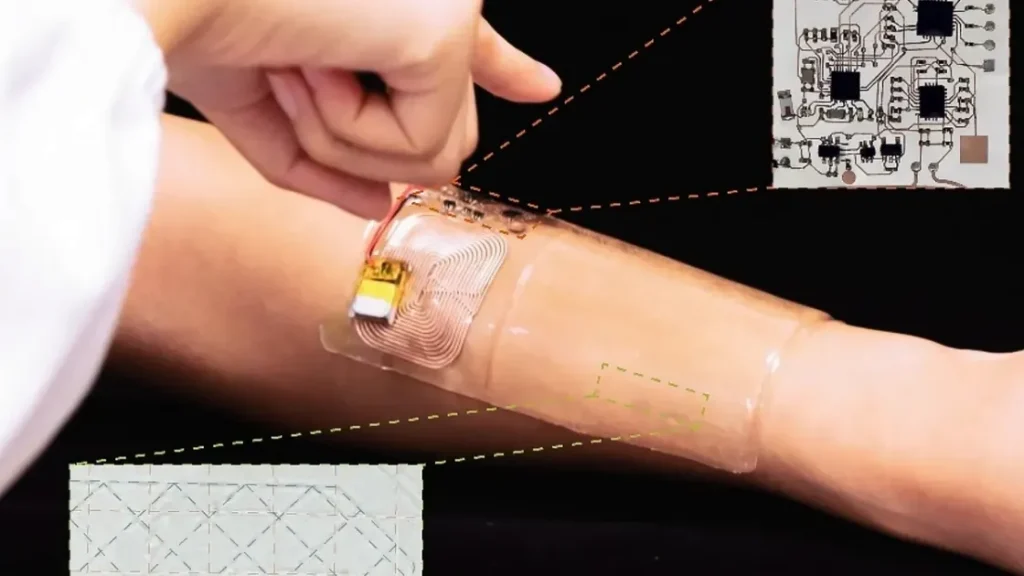 Новый подход к сенсорным технологиям — медузы помогли обрести роботам и людям шестое чувство