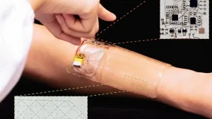 Новый подход к сенсорным технологиям — медузы помогли обрести роботам и людям шестое чувство