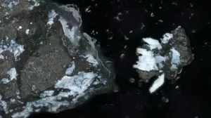 Астероид родом из водного мира — первые результаты исследований образцов Бенну