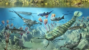 Девонское вымирание могло быть спровоцировано взрывом сверхновой