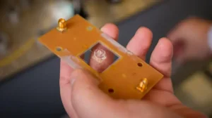 Алмазные шпионы внутри клеток: как квантовые технологии помогут ловить болезни