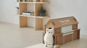 Фирменные коробки телевизоров Samsung теперь будут превращаться в мебель