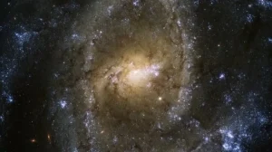 Галактика NGC 2835 — великолепный змеиный глаз далекого космоса