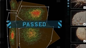 Геймеров привлекут к изучению влияния COVID-19 на иммунную систему человека