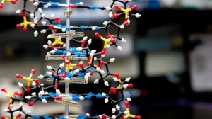 Гигантская база ДНК будет создана в Китае