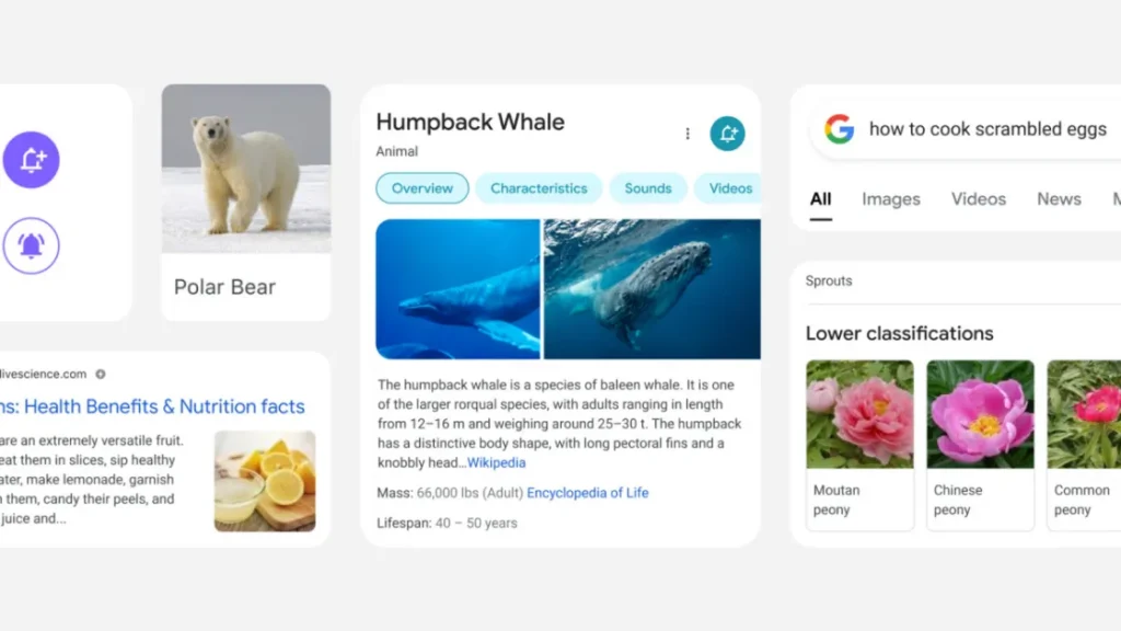 Google меняет дизайн мобильного поиска на Android и iOS