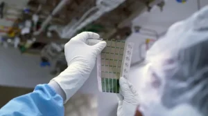 Инженеры разработали ультратонкие солнечные панели с поразительной эффективностью