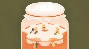 Инженеры создают «живые материалы» на основе чайного гриба