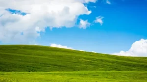 Исходный код Windows XP был опубликован в сети