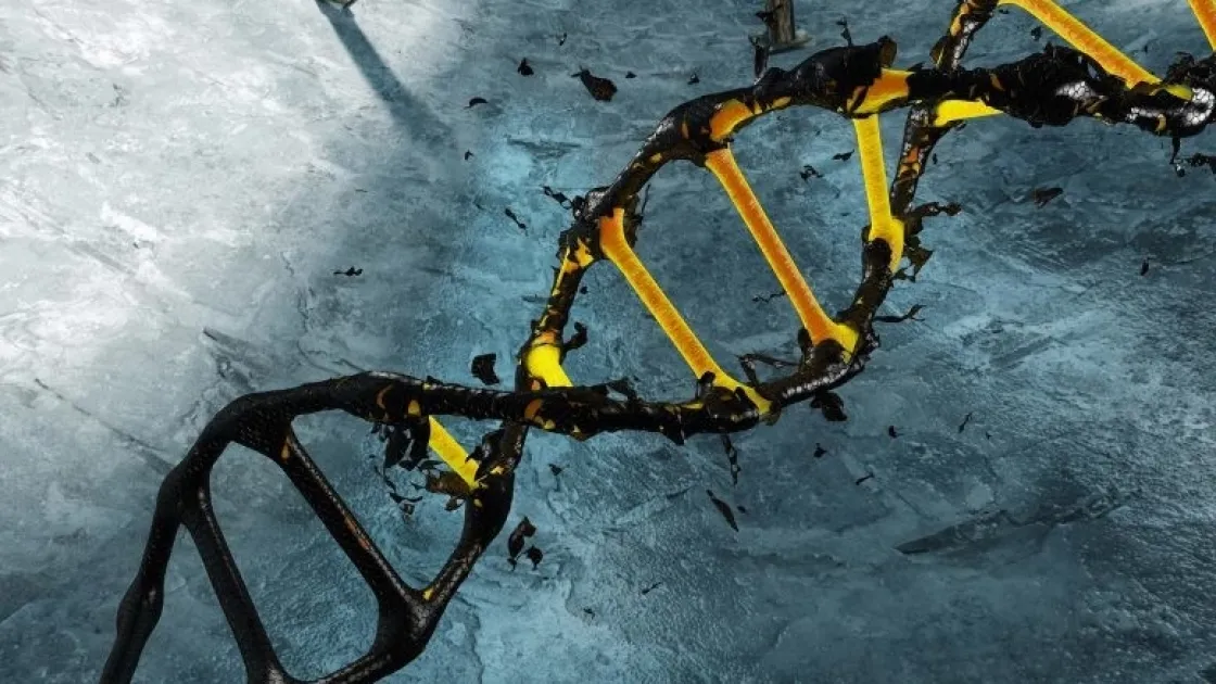 Исследователи обнаружили доказательства крупной эпидемии коронавируса 20 000 лет назад