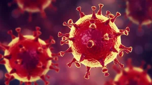 Как долго вирус COVID-19 сохраняется на поверхности?