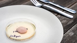 Как генная инженерия меняет то, что мы едим?