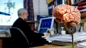 Как наш мозг отделяет фактическое от возможного?