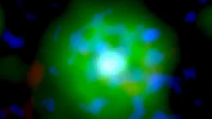 Космические неоновые огни: в рентгеновском свете обнаружен необычный новый тип звезд