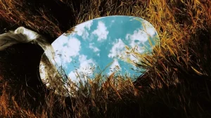 Кто изобрел серебряные зеркала, удобрения и бульонный кубик?