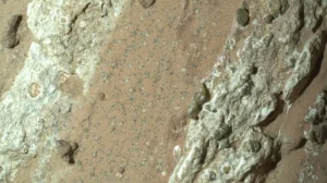 NASA к обнаружению следов жизни на Марсе