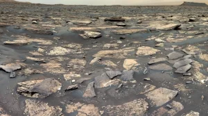 Марсоход Curiosity обнаружил нечто земное на Марсе