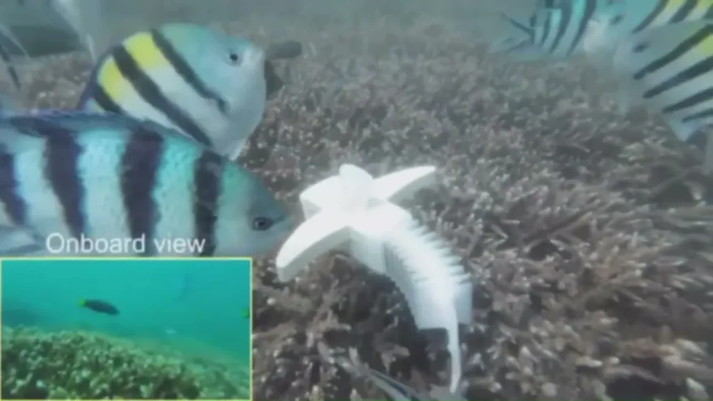 Робот-рыба на морской воде: революция в глубоководных исследованиях