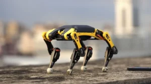 Миниатюрный робот-собака Bittle дебютирует уже в январе