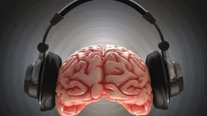Нейробиологи выяснили, почему мозг любит музыку