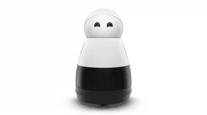 Робот Kuri научился распознавать животных